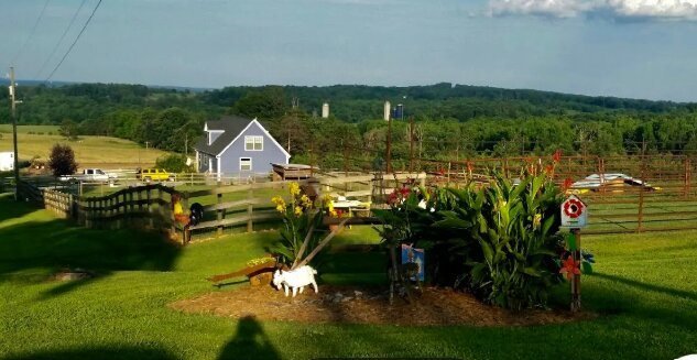 AAVNII Farm Retreat, Narsapur, Hyderabad
